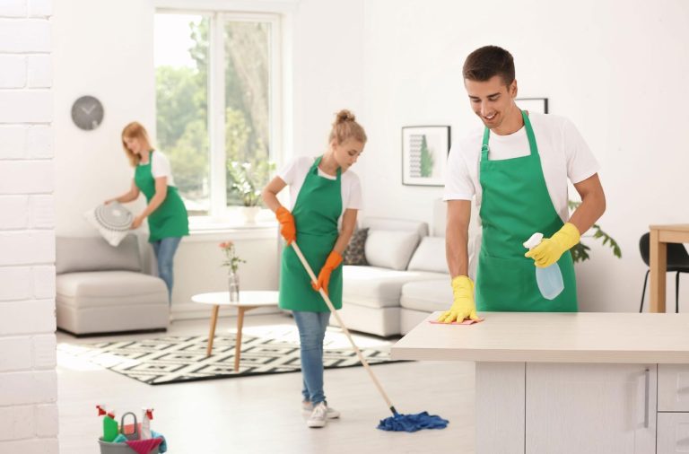 House Cleaning Image